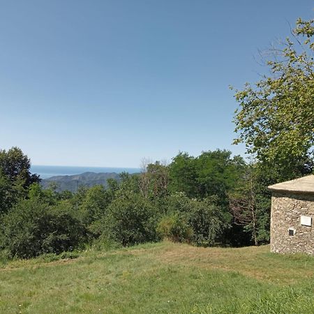 Faggio Rotondo Neirone Exterior foto