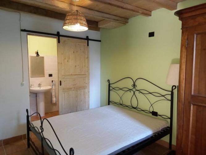 Faggio Rotondo Neirone Quarto foto