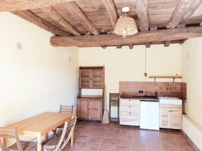 Faggio Rotondo Neirone Quarto foto
