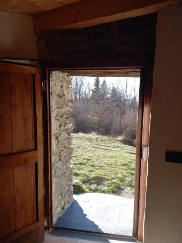 Faggio Rotondo Neirone Quarto foto